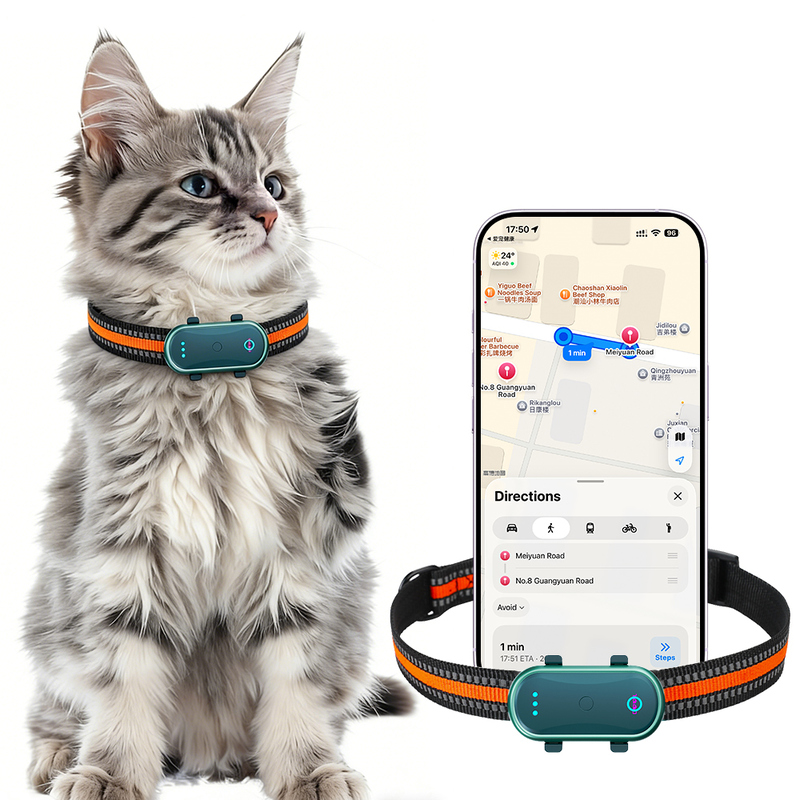 Real Time Dog GPS Tracker Device For Analyze Pet Behavior Patterns OEM ODM