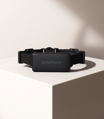 Smart Pet Collar manufacturer from china